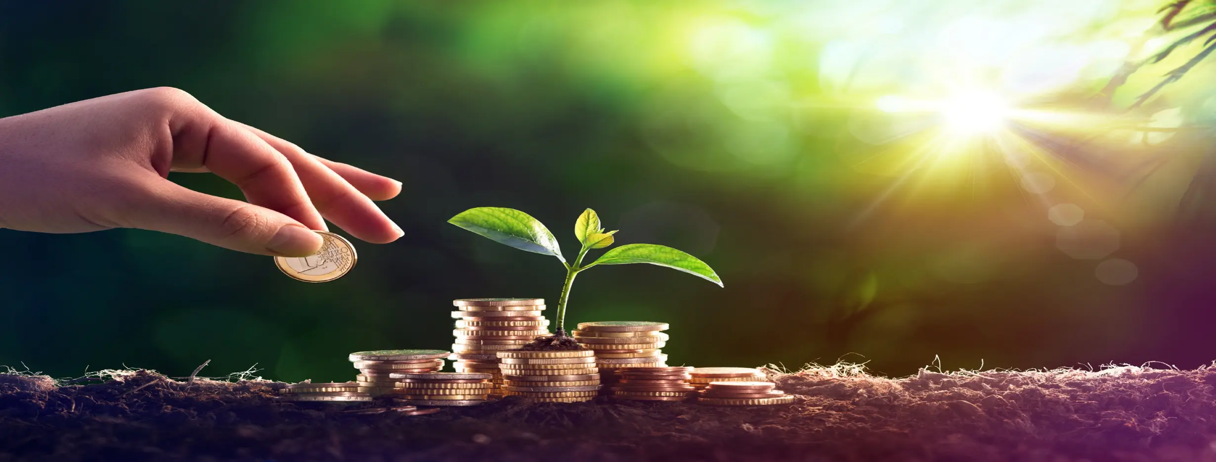 Image for Prosperous Market Investments
